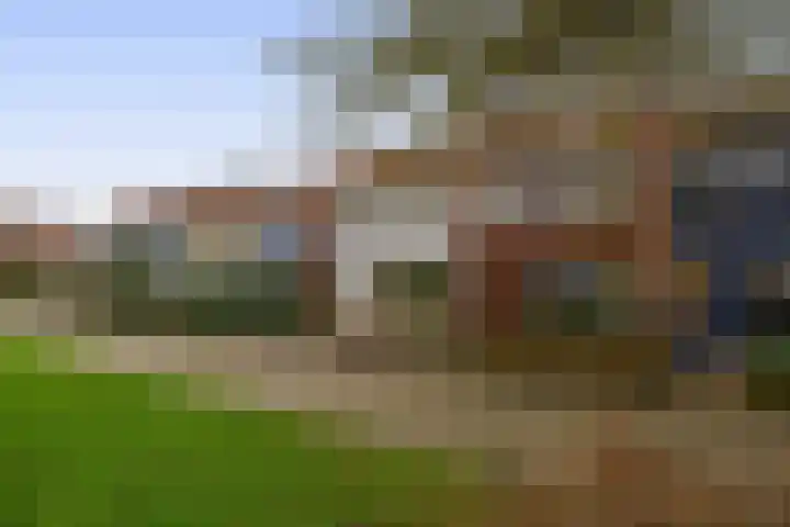 van Alkemadelaan 53 Brielle thumbnail 7