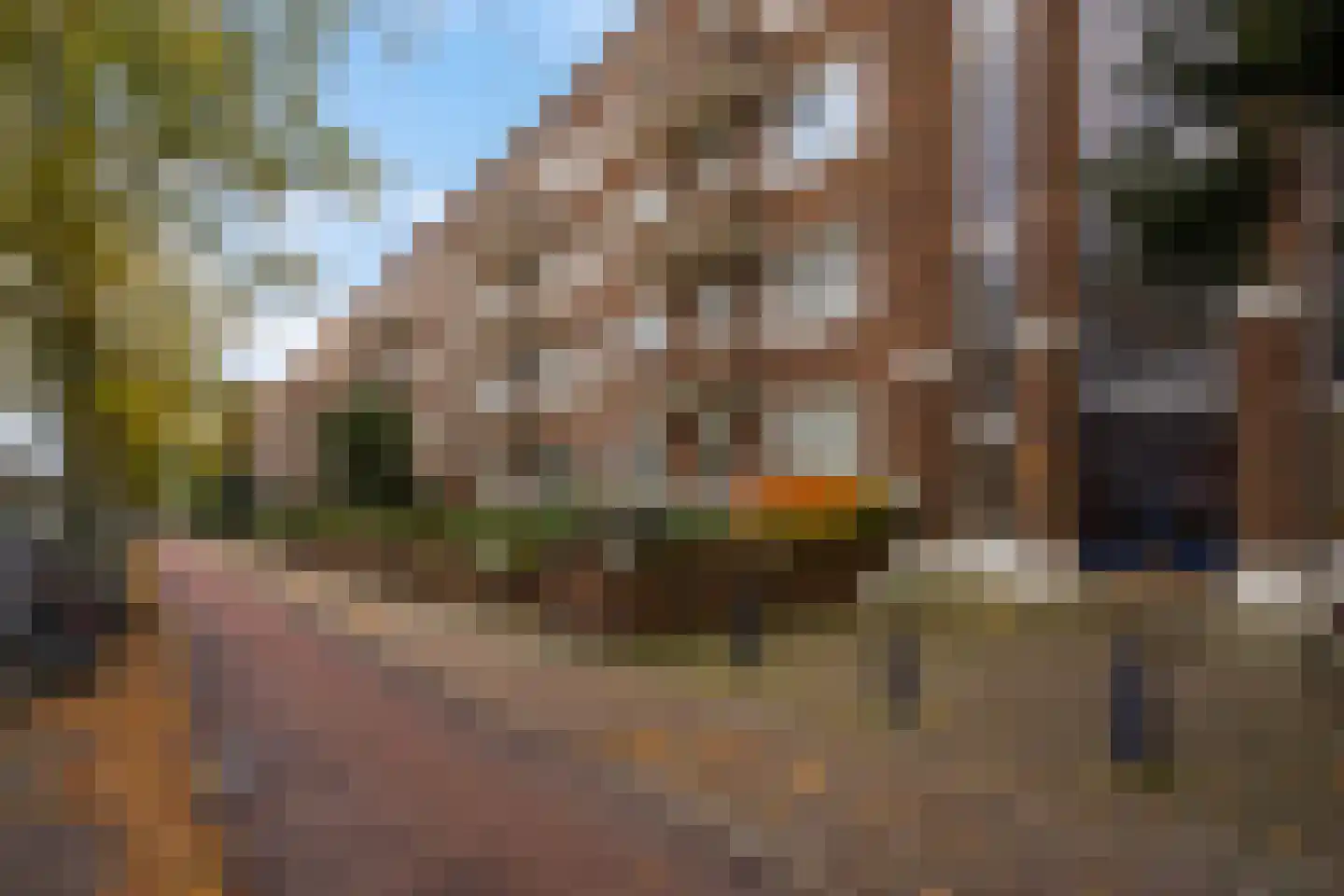 Van Alkemadelaan 602 Den Haag thumbnail 41