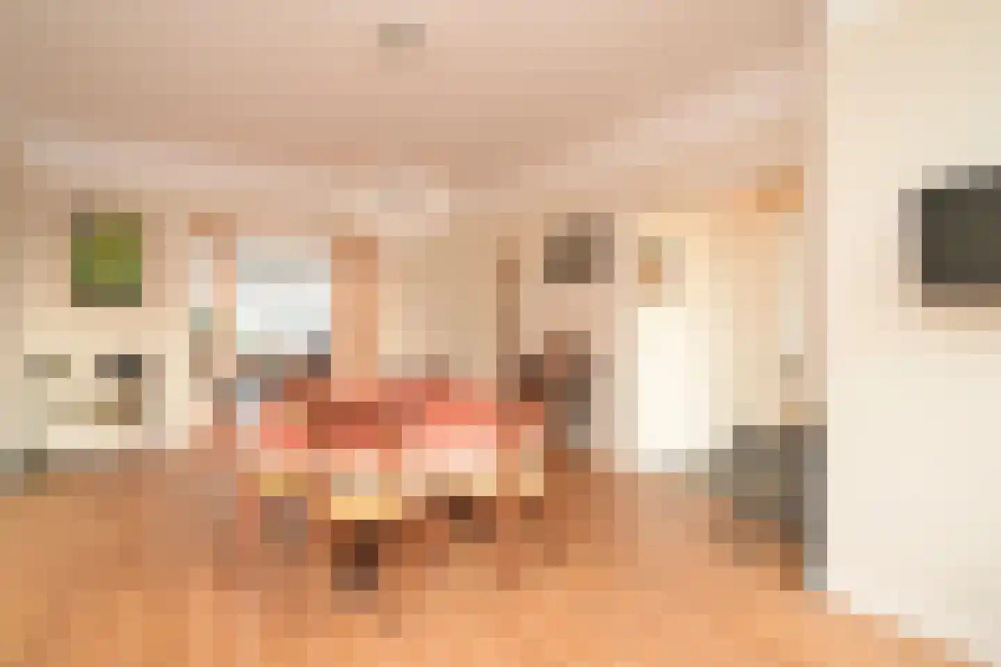 Van Alkemadelaan 646 Den Haag thumbnail 17