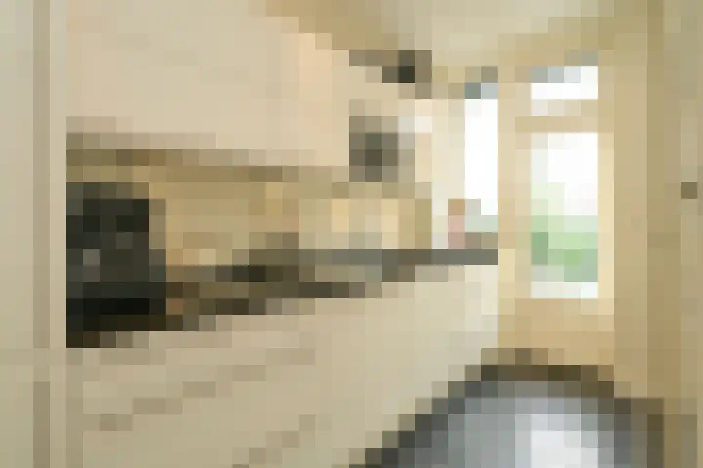 Van Alkemadelaan 646 Den Haag thumbnail 18