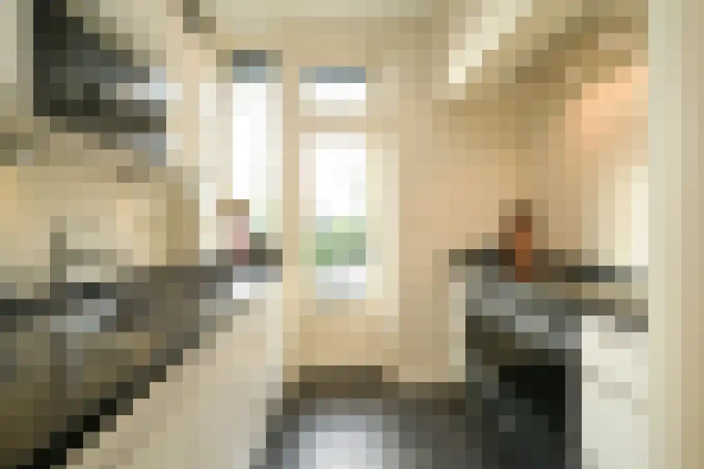 Van Alkemadelaan 646 Den Haag thumbnail 20