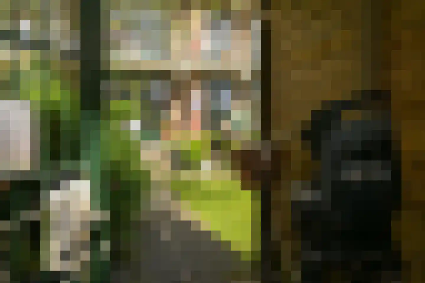 Van Alkemadelaan 646 Den Haag thumbnail 28