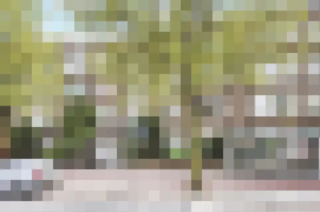 Van Alkemadelaan 646 Den Haag thumbnail 36
