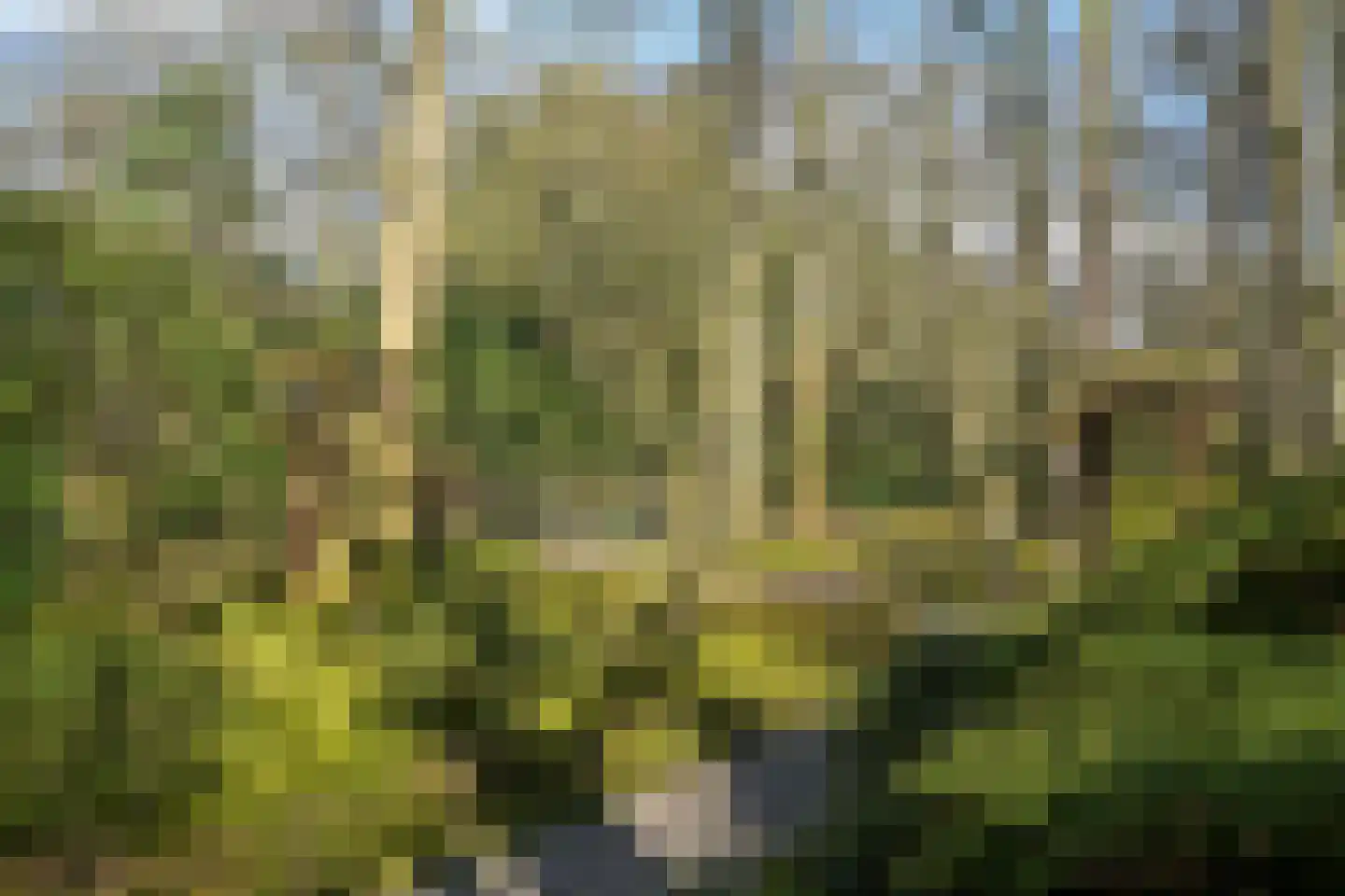 Van Alkemadelaan 646 Den Haag thumbnail 41