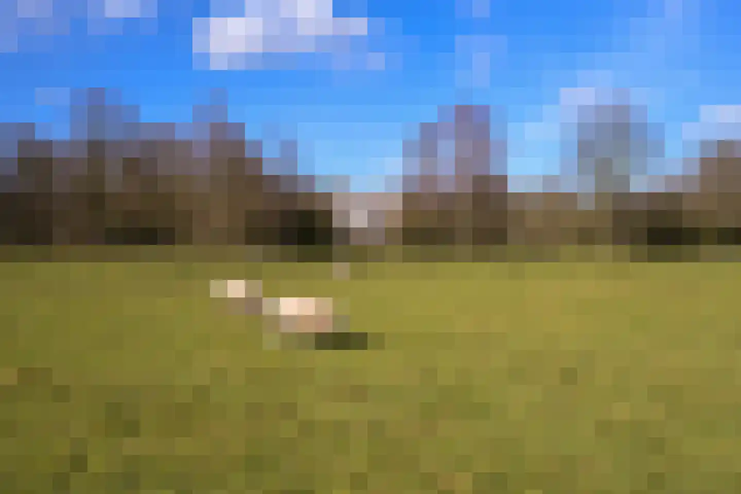 Van Alkemadelaan 646 Den Haag thumbnail 43
