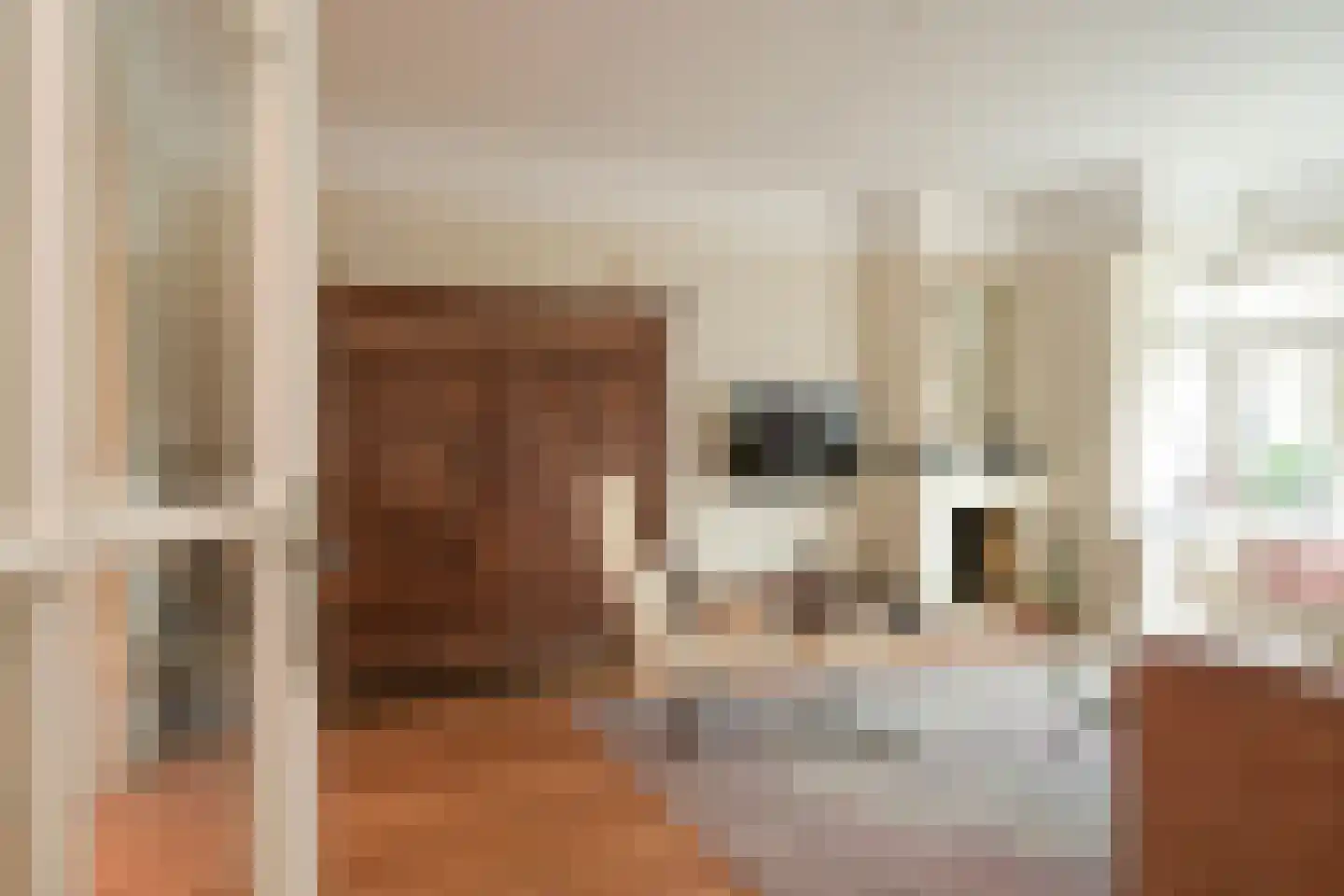 Van Alkemadelaan 646 Den Haag thumbnail 9