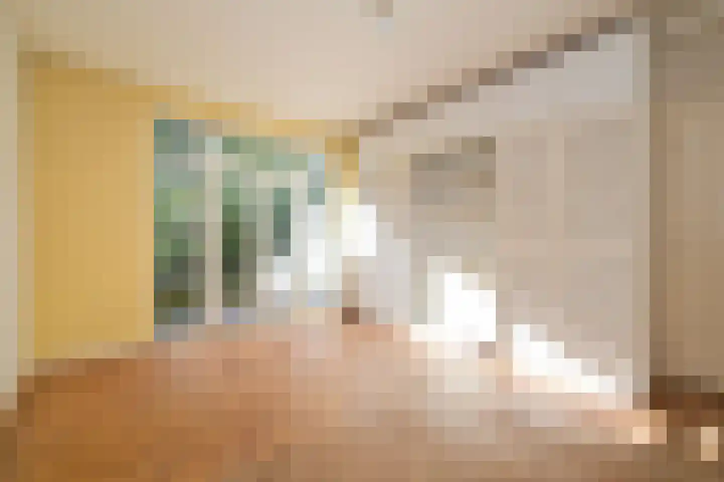 Van Alkemadelaan 664 Den Haag thumbnail 15