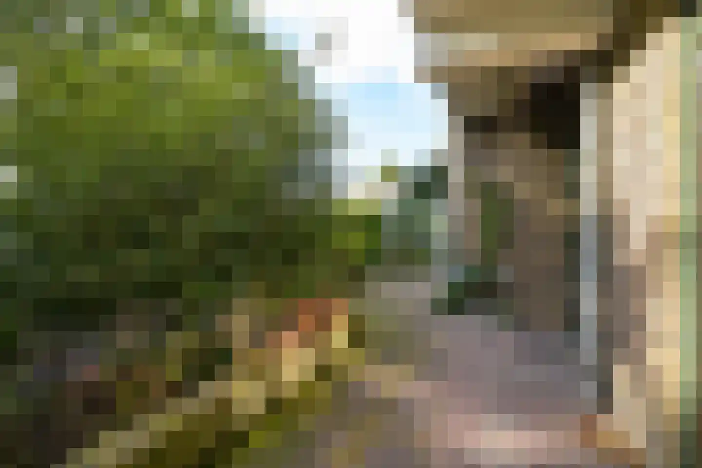 Van Alkemadelaan 664 Den Haag thumbnail 24