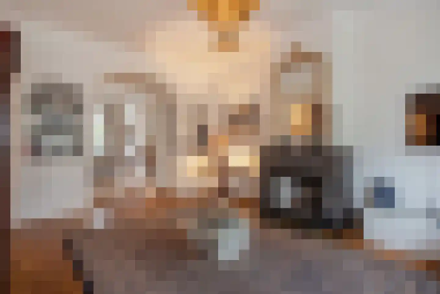 Van Alkemadelaan 70 Den Haag thumbnail 12