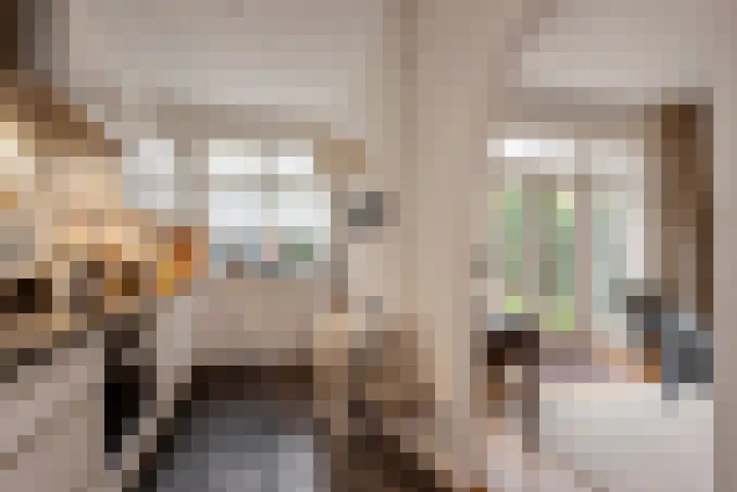 Van Alkemadelaan 70 Den Haag thumbnail 19