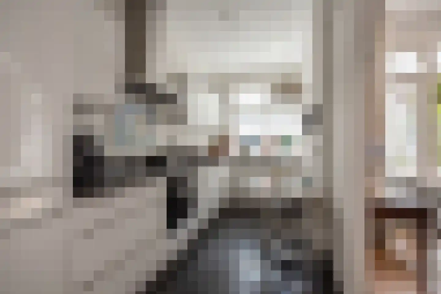 Van Alkemadelaan 70 Den Haag thumbnail 20
