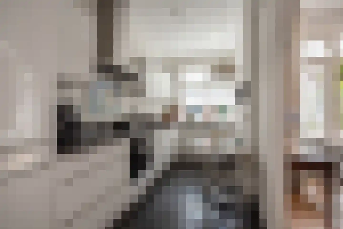 Van Alkemadelaan 70 Den Haag thumbnail 20