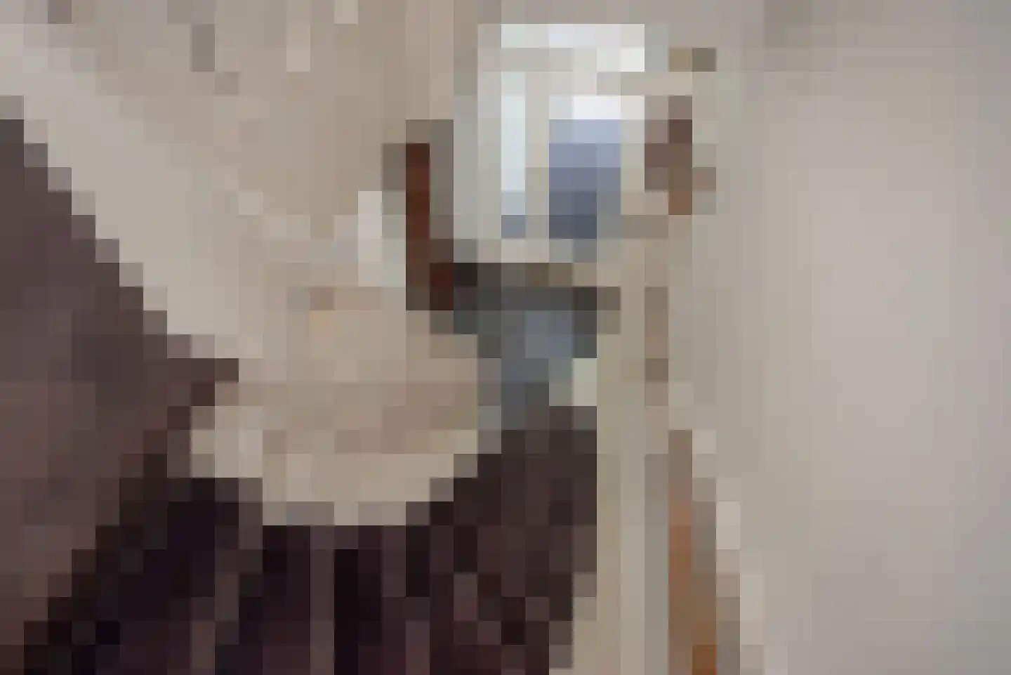 Van Alkemadelaan 70 Den Haag thumbnail 22