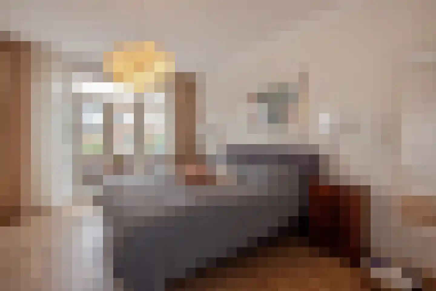 Van Alkemadelaan 70 Den Haag thumbnail 25