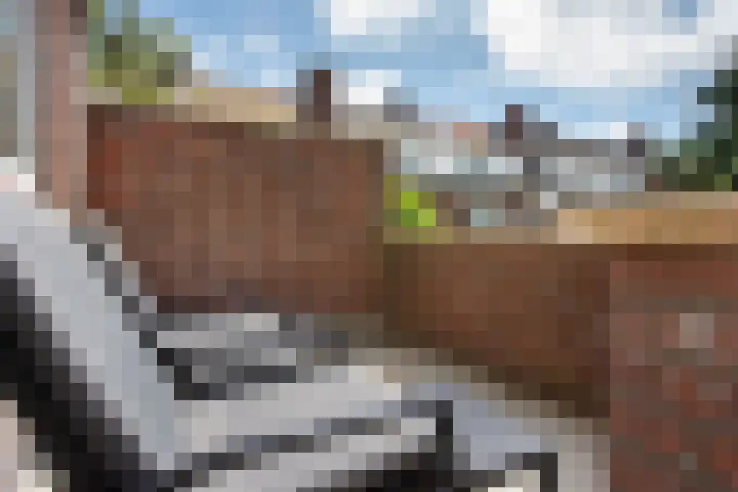Van Alkemadelaan 70 Den Haag thumbnail 29