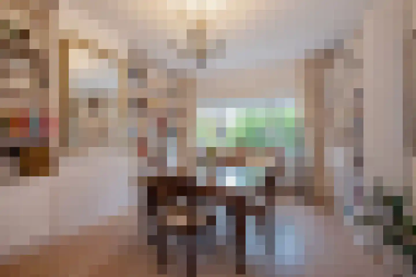 Van Alkemadelaan 70 Den Haag thumbnail 30