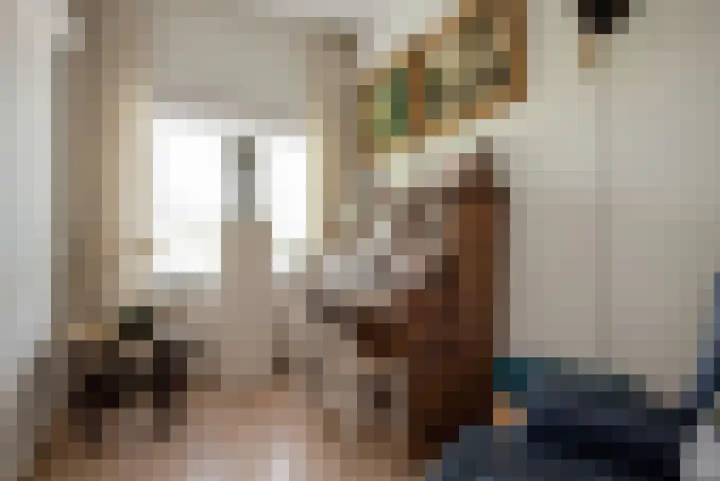 Van Alkemadelaan 70 Den Haag thumbnail 32
