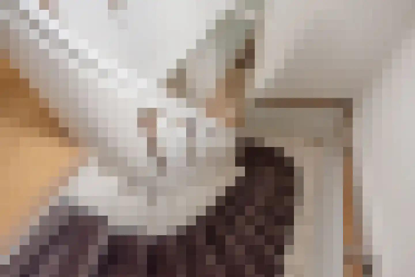 Van Alkemadelaan 70 Den Haag thumbnail 34