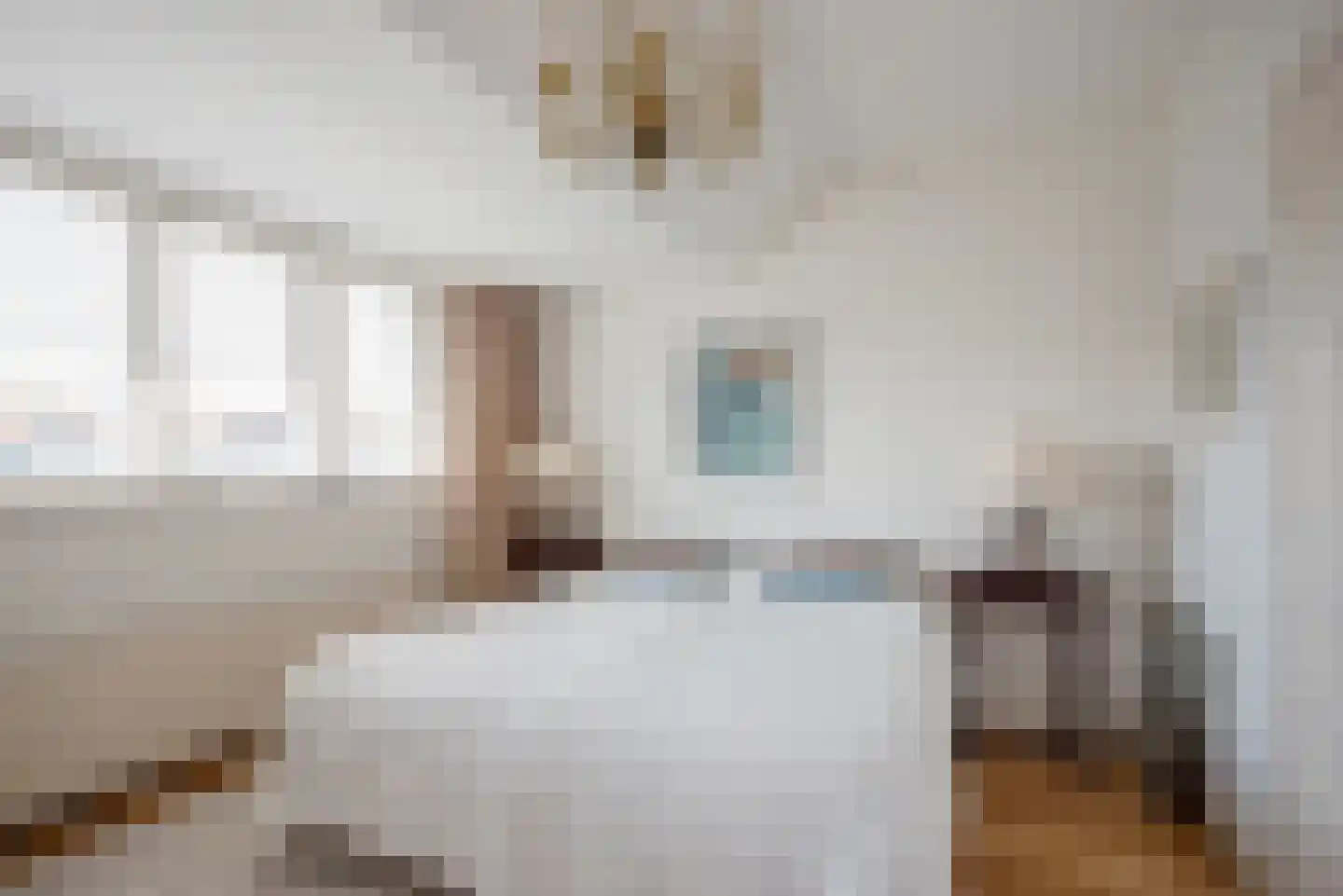 Van Alkemadelaan 70 Den Haag thumbnail 39