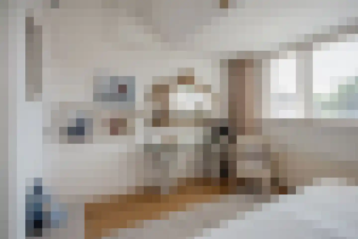 Van Alkemadelaan 70 Den Haag thumbnail 40