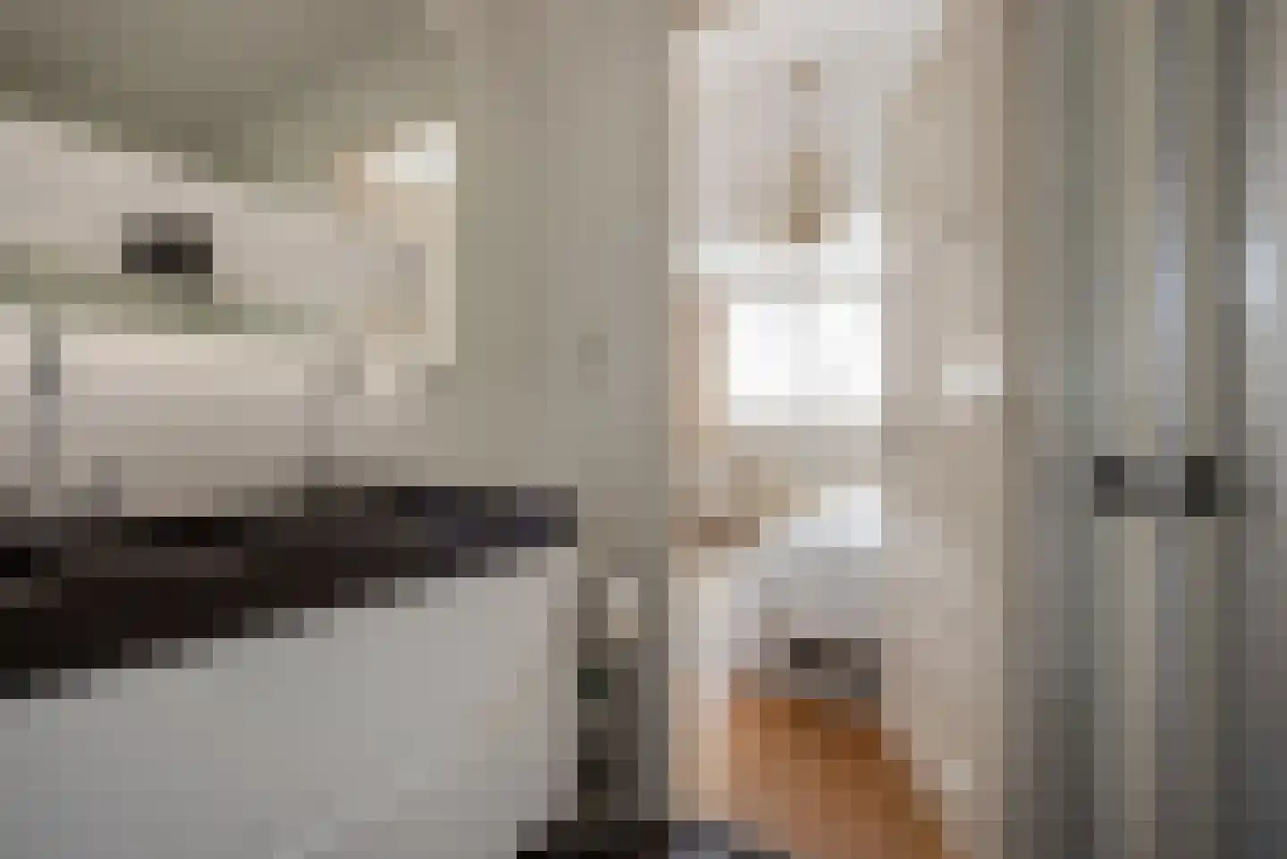 Van Alkemadelaan 70 Den Haag thumbnail 41