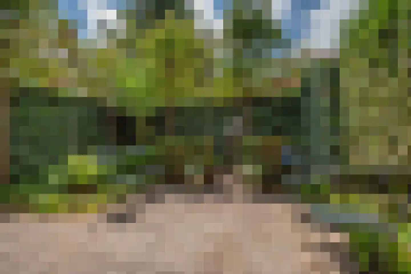 Van Alkemadelaan 70 Den Haag thumbnail 49