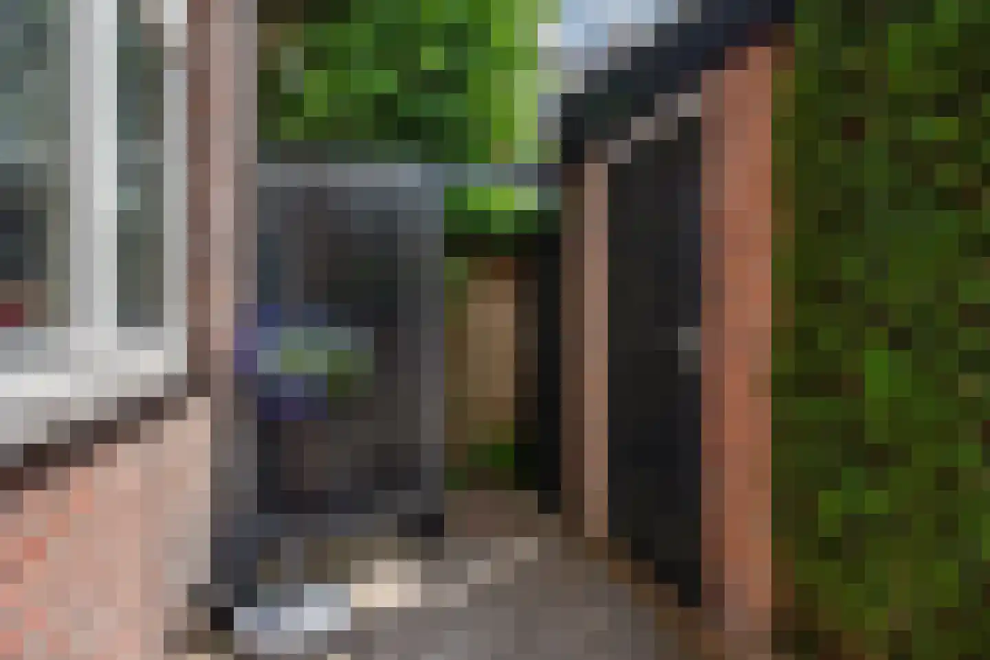 Van Alkemadelaan 70 Den Haag thumbnail 52