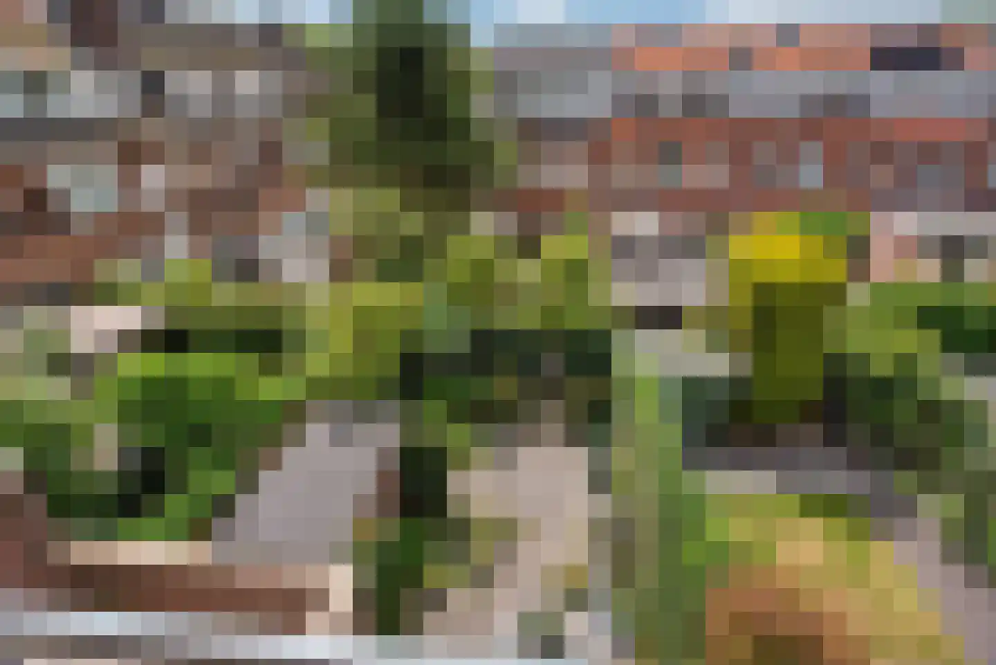 Van Alkemadelaan 70 Den Haag thumbnail 53
