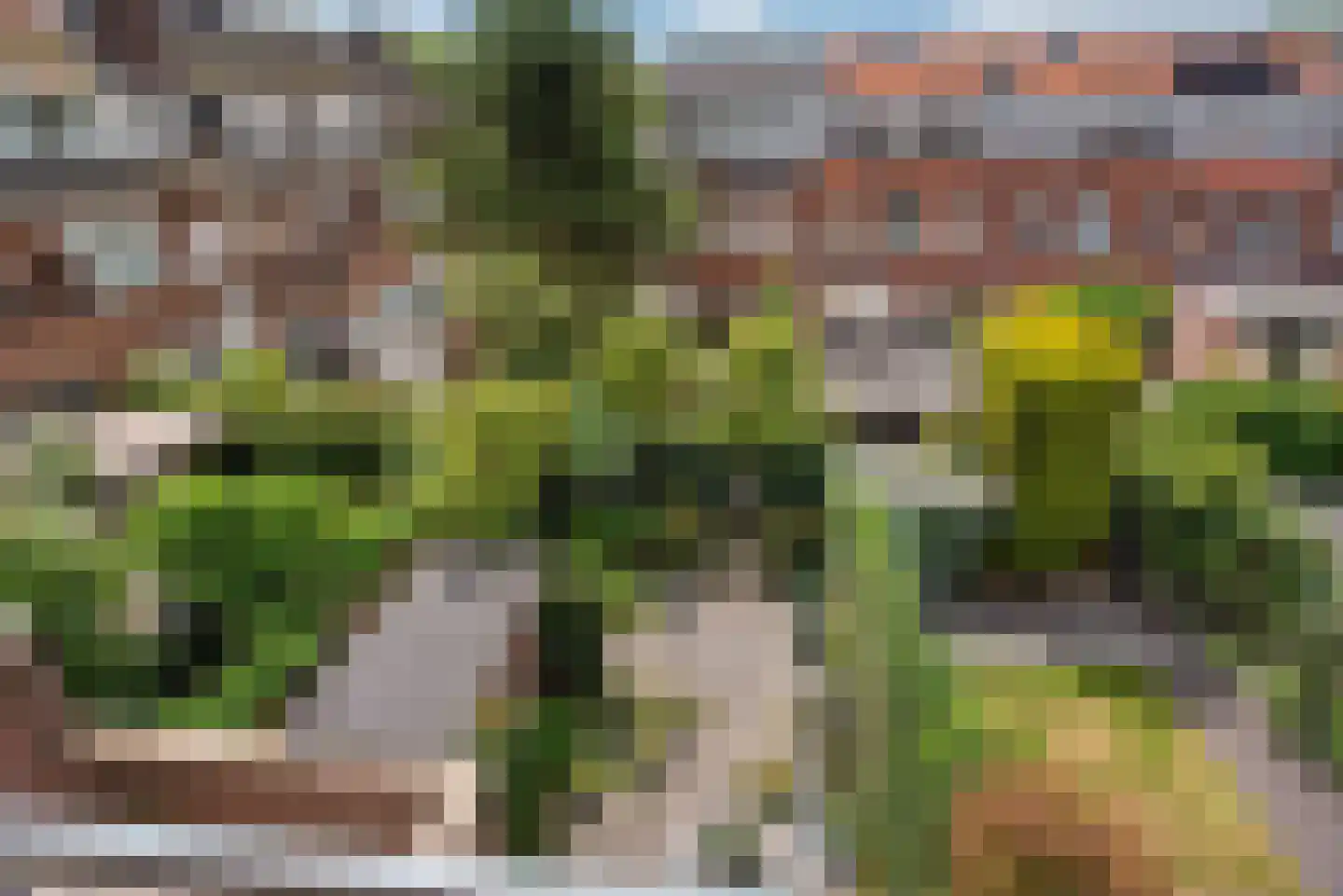 Van Alkemadelaan 70 Den Haag thumbnail 54