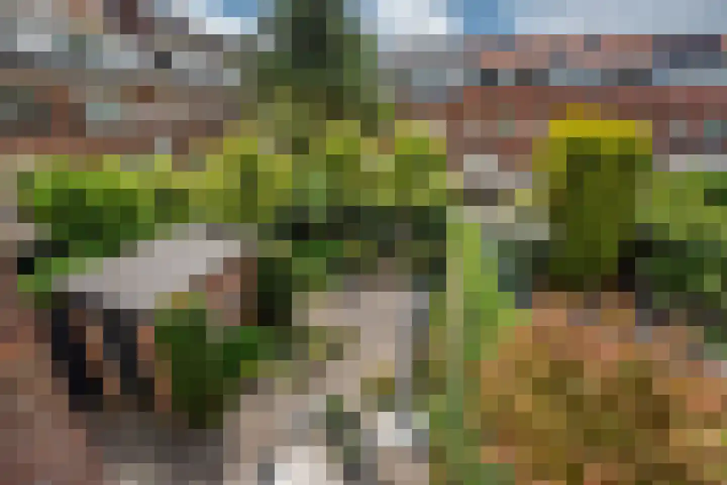 Van Alkemadelaan 70 Den Haag thumbnail 54