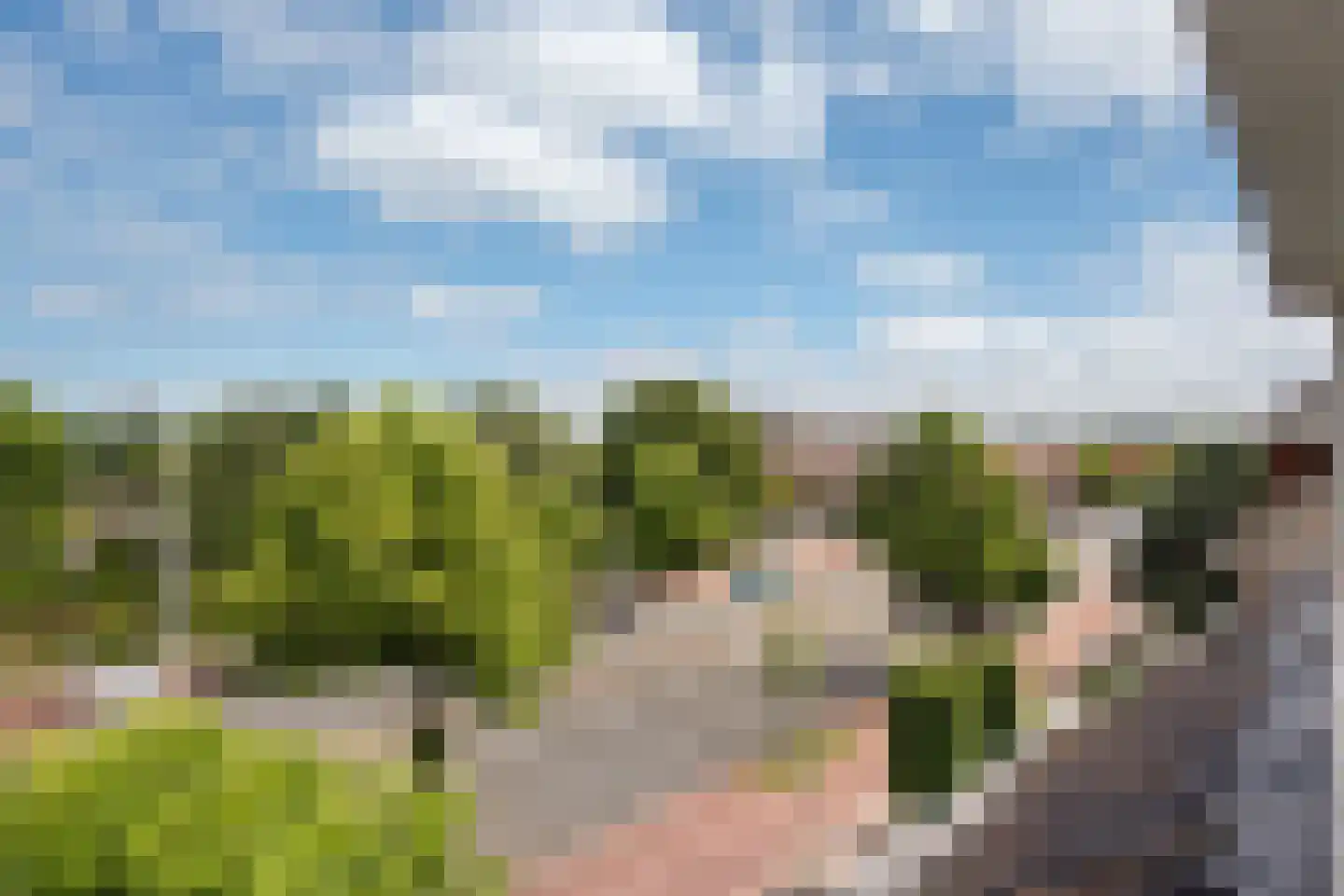 Van Alkemadelaan 70 Den Haag thumbnail 56