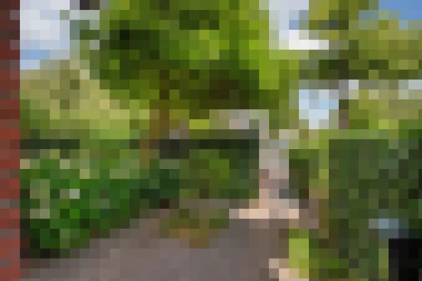 Van Alkemadelaan 70 Den Haag thumbnail 6