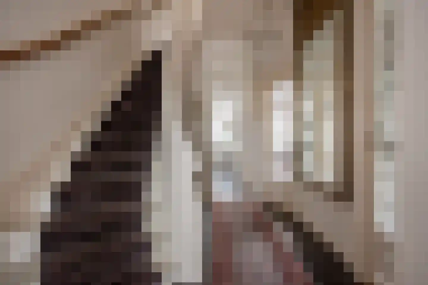 Van Alkemadelaan 70 Den Haag thumbnail 8
