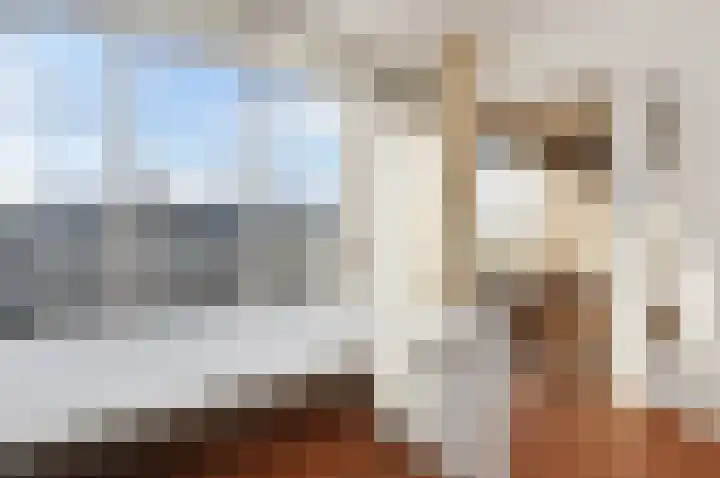 Van Alkemadelaan 828 Den Haag thumbnail 17