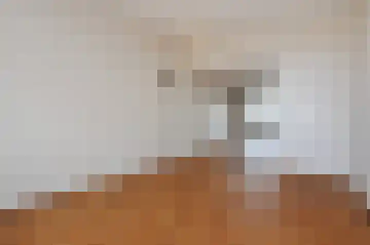 Van Alkemadelaan 828 Den Haag thumbnail 22