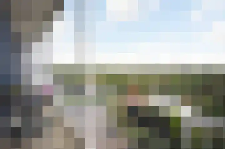 Van Alkemadelaan 828 Den Haag thumbnail 29