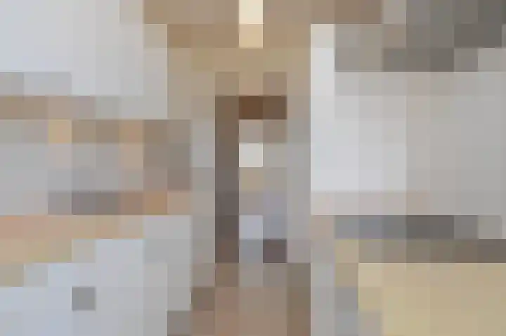 Van Alkemadelaan 828 Den Haag thumbnail 33