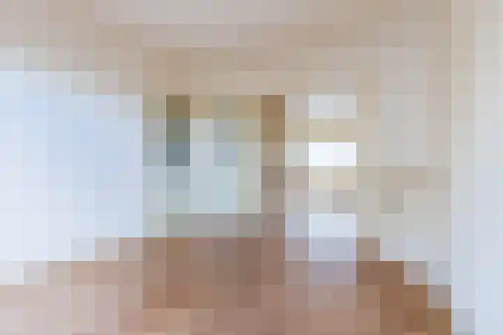 Van Alkemadelaan 892 Den Haag thumbnail 10