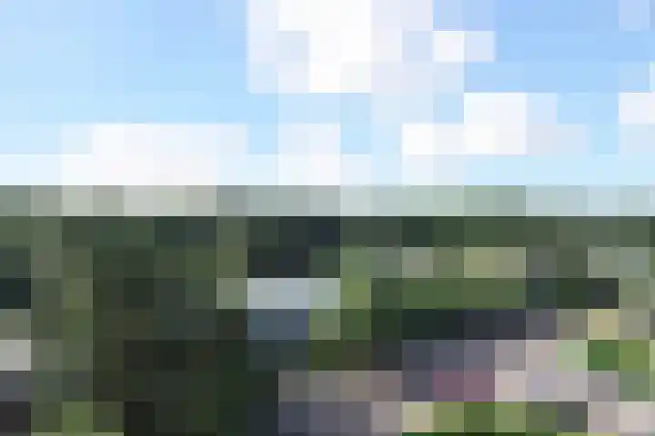 Van Alkemadelaan 892 Den Haag thumbnail 15
