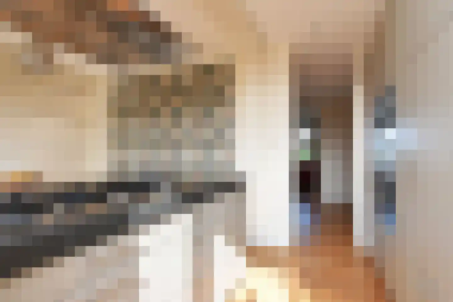 Van Alkemadelaan 892 Den Haag thumbnail 16
