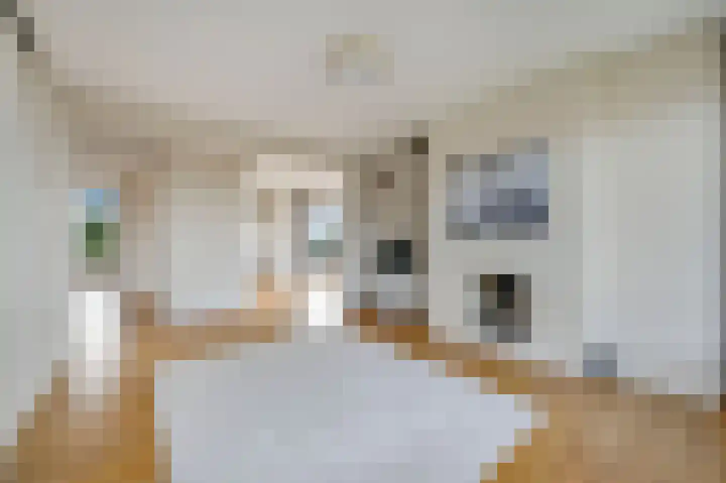 Van Alkemadelaan 892 Den Haag thumbnail 20