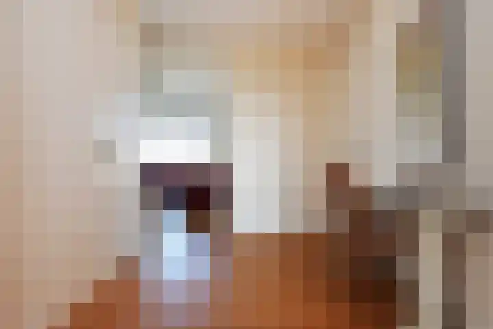 Van Alkemadelaan 892 Den Haag thumbnail 24