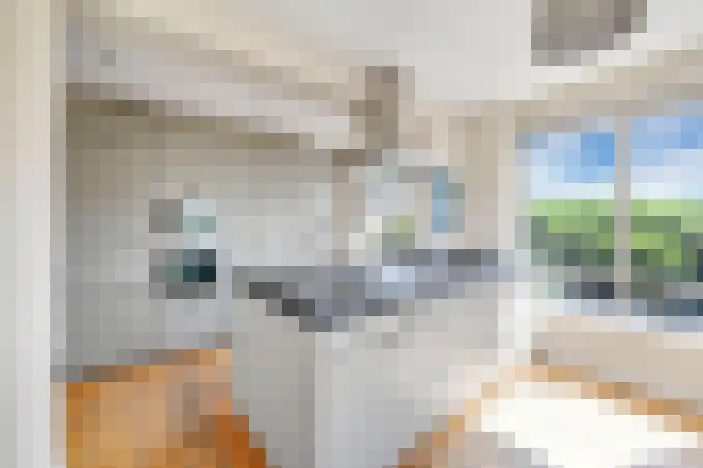 Van Alkemadelaan 892 Den Haag thumbnail 26