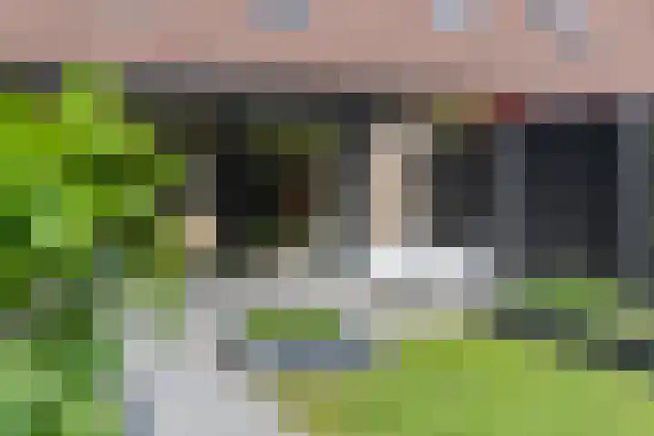 Van Alkemadelaan 892 Den Haag thumbnail 27