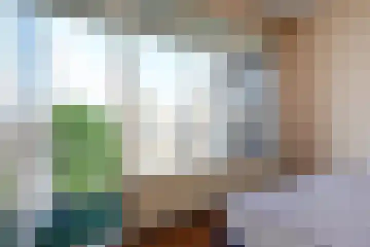 Van Alkemadelaan 892 Den Haag thumbnail 28