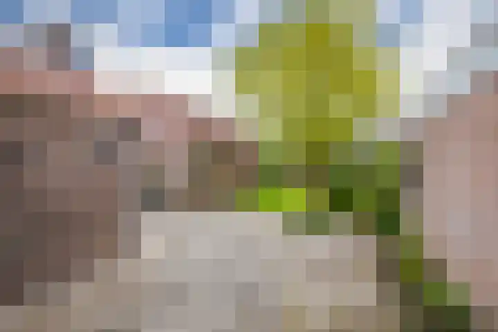 Van Alkemadelaan 892 Den Haag thumbnail 30