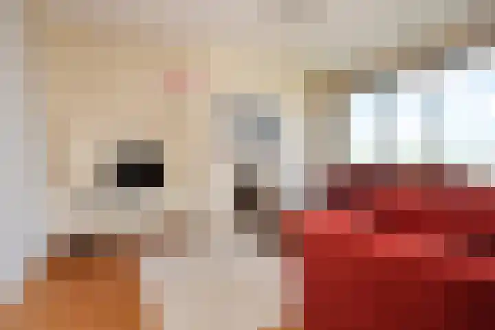 Van Alkemadelaan 892 Den Haag thumbnail 33