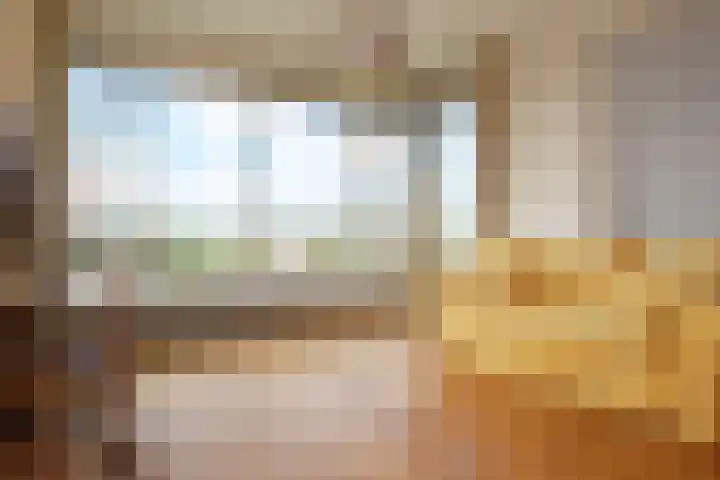 Van Alkemadelaan 892 Den Haag thumbnail 37