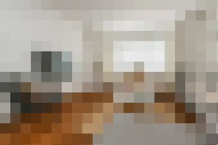 Van Alkemadelaan 9 Den Haag thumbnail 11