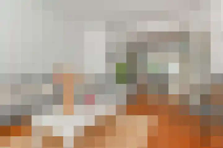 Van Alkemadelaan 9 Den Haag thumbnail 13